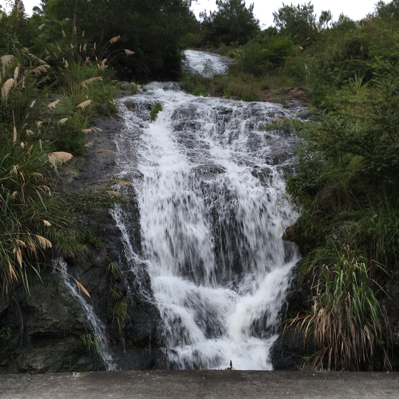 Choon Seng Teochew Porridge Reviews Food Drinks In Singapore Trip Com