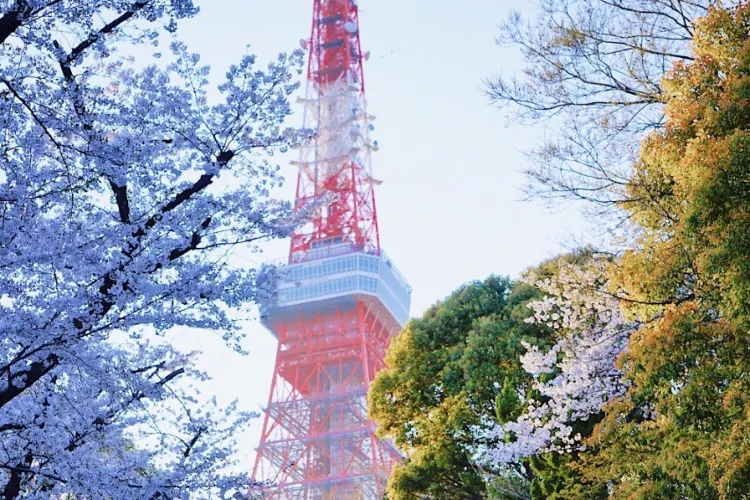 東京 芝公園 評判 案内 トリップドットコム