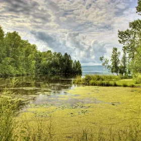 Forest Beach Migratory Preserve