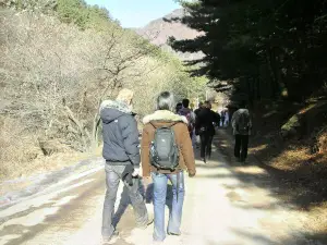 Surisan Provincial Park