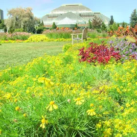 Lincoln Park Conservatory