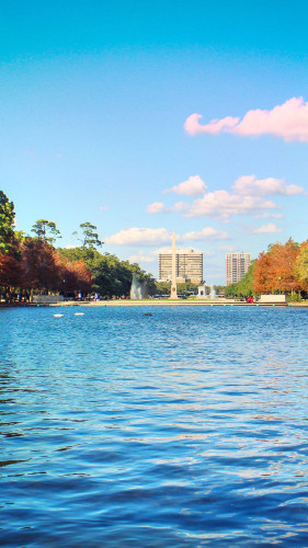 ニューヨーク発 ヒューストン行き格安航空券 飛行機チケットを予約 Trip Com