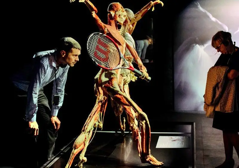 Latest travel itineraries for BODY WORLDS London in November (updated