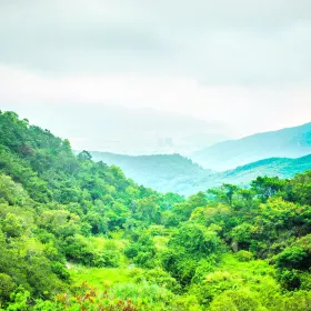황화산삼림공원