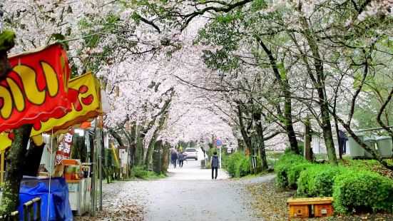 秋月城跡の写真 朝倉の観光スポットの写真 Tripメモリー