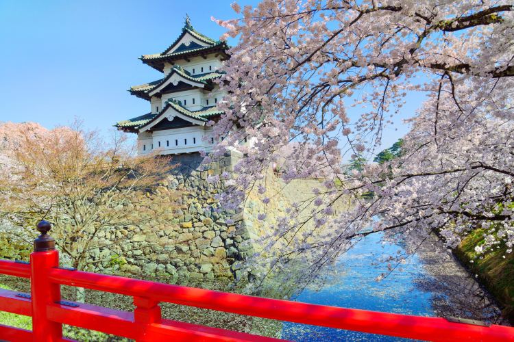 弘前城旅遊攻略指南 弘前城評論 弘前城附近推薦 Trip Com 弘前城旅遊攻略指南 弘前城評論 弘前城附近推薦 Trip Com