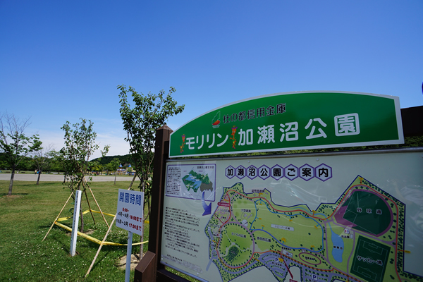 Moririn加瀨沼公園旅遊攻略指南 Moririn加瀨沼公園評價 Moririn加瀨沼公園附近推薦 Trip Com