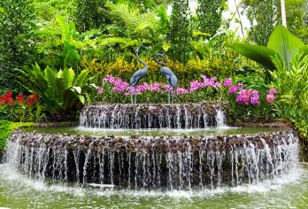 National Orchid Garden Popular Attractions Photos