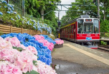箱根登山鐵道 熱門景點照片
