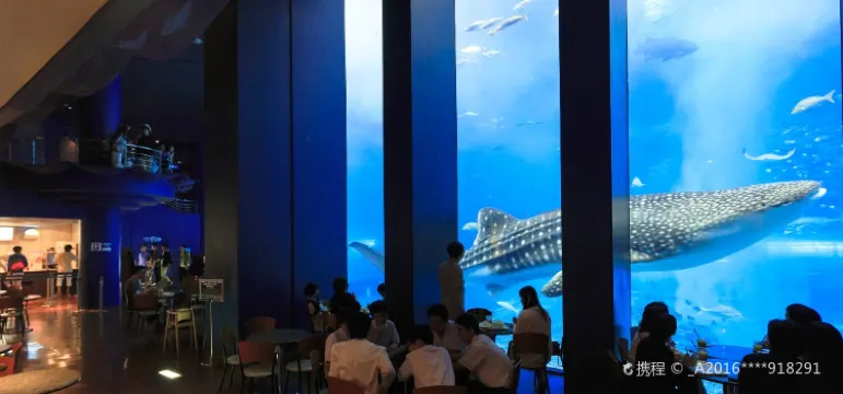 Ocean Blue Reviews Food Drinks In Okinawa Motobu Trip Com