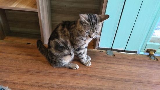 SHE JIAN NIU ROU GUAN Reviews: Food u0026 Drinks in Fujian Xiamen 