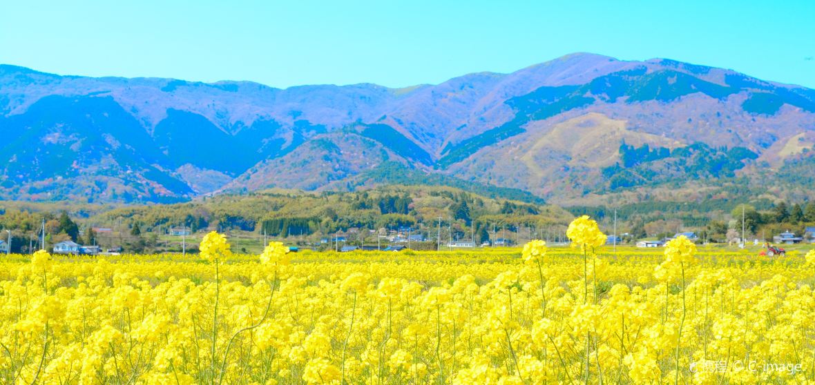 岡山
