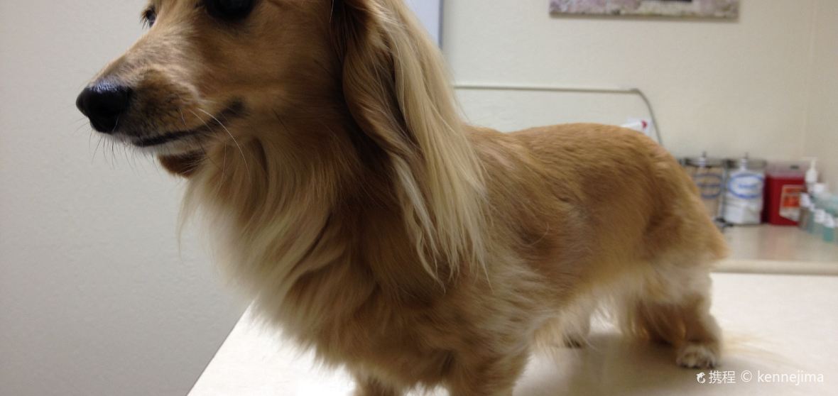 Temple City Travel Guide 2023 Things to Do, What To Eat & Tips