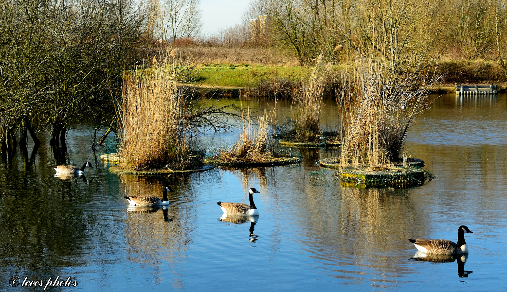Filey Dams Nature Reserve Travel Guidebook Must Visit Attractions In Filey Filey Dams Nature Reserve Nearby Recommendation Trip Com
