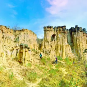Huanglian Soil Forest