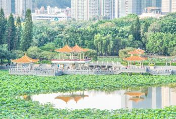 Honghu Park Popular Attractions Photos