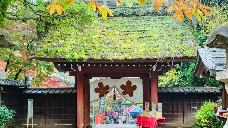 調布 深大寺 評判 案内 トリップドットコム 調布 深大寺 評判 案内 トリップドットコム