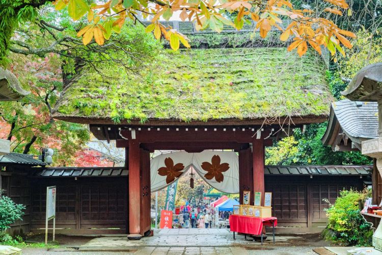 調布 深大寺 評判 案内 トリップドットコム 調布 深大寺 評判 案内 トリップドットコム