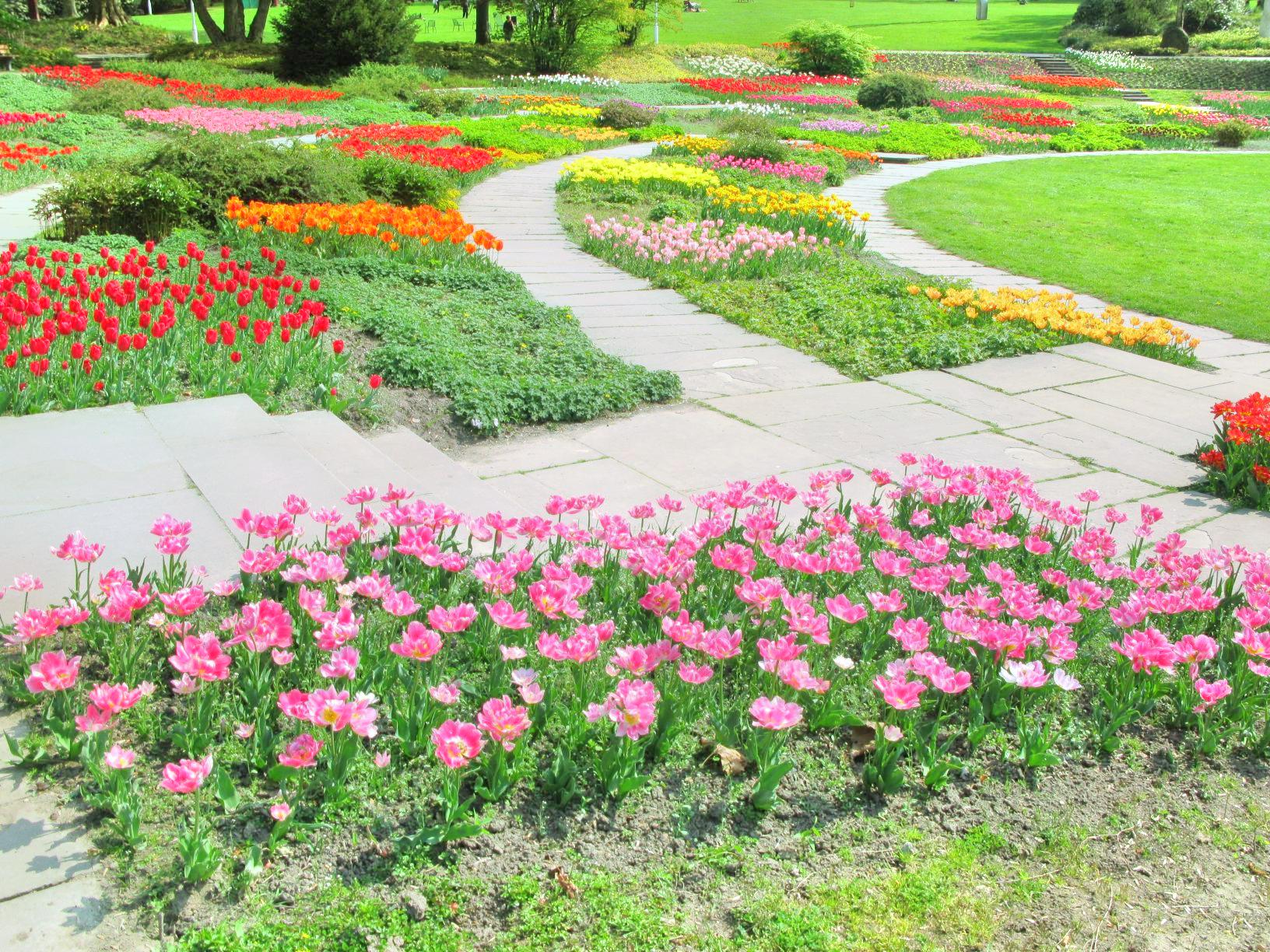 Botanischer Garten Neuss Botanischer Garten Wird