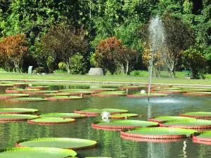 보고르 식물원