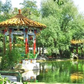 Chinese Garden Zurich
