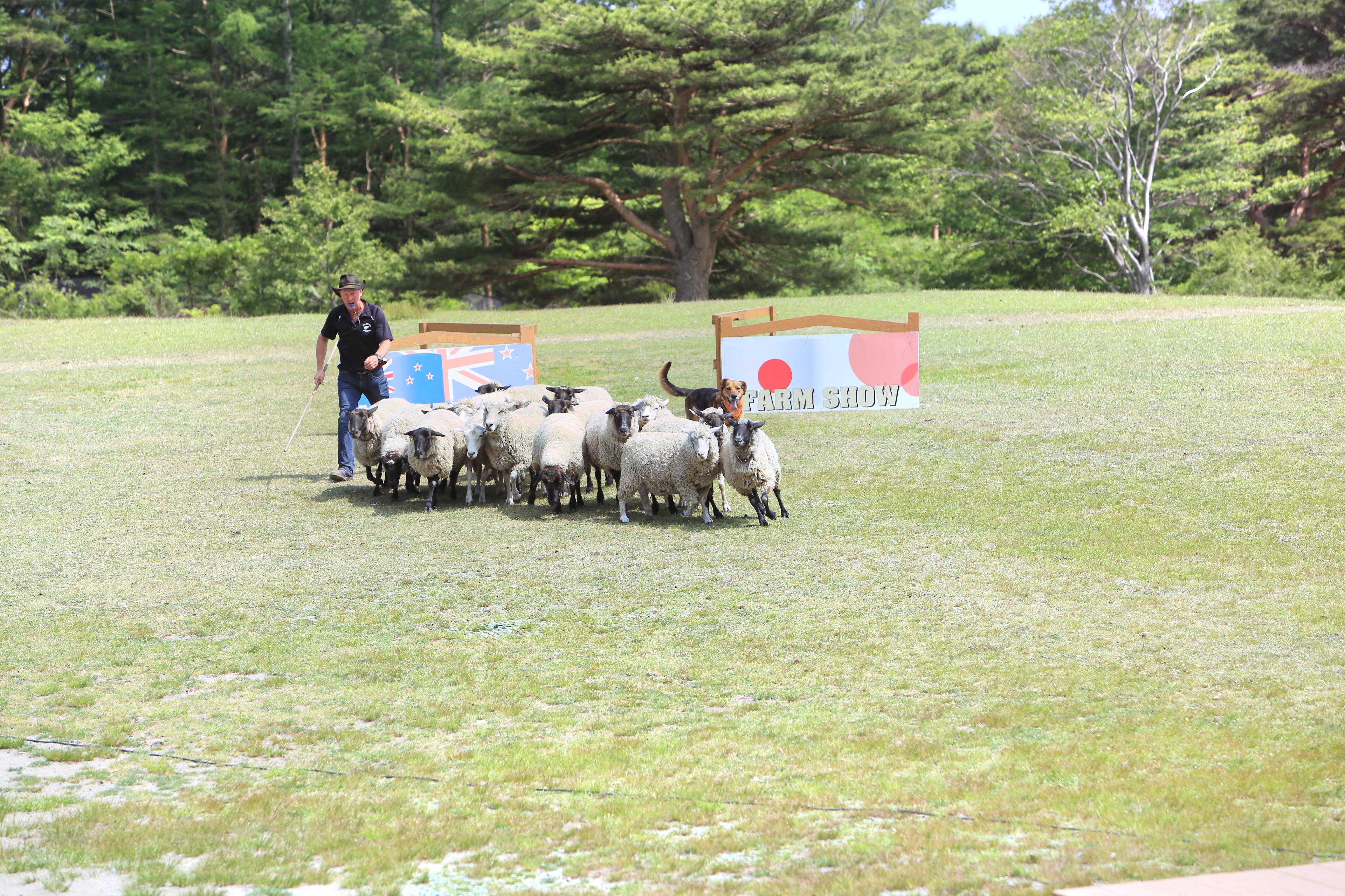 那須動物王國旅遊攻略指南 那須動物王國評論 那須動物王國附近推薦 Trip Com