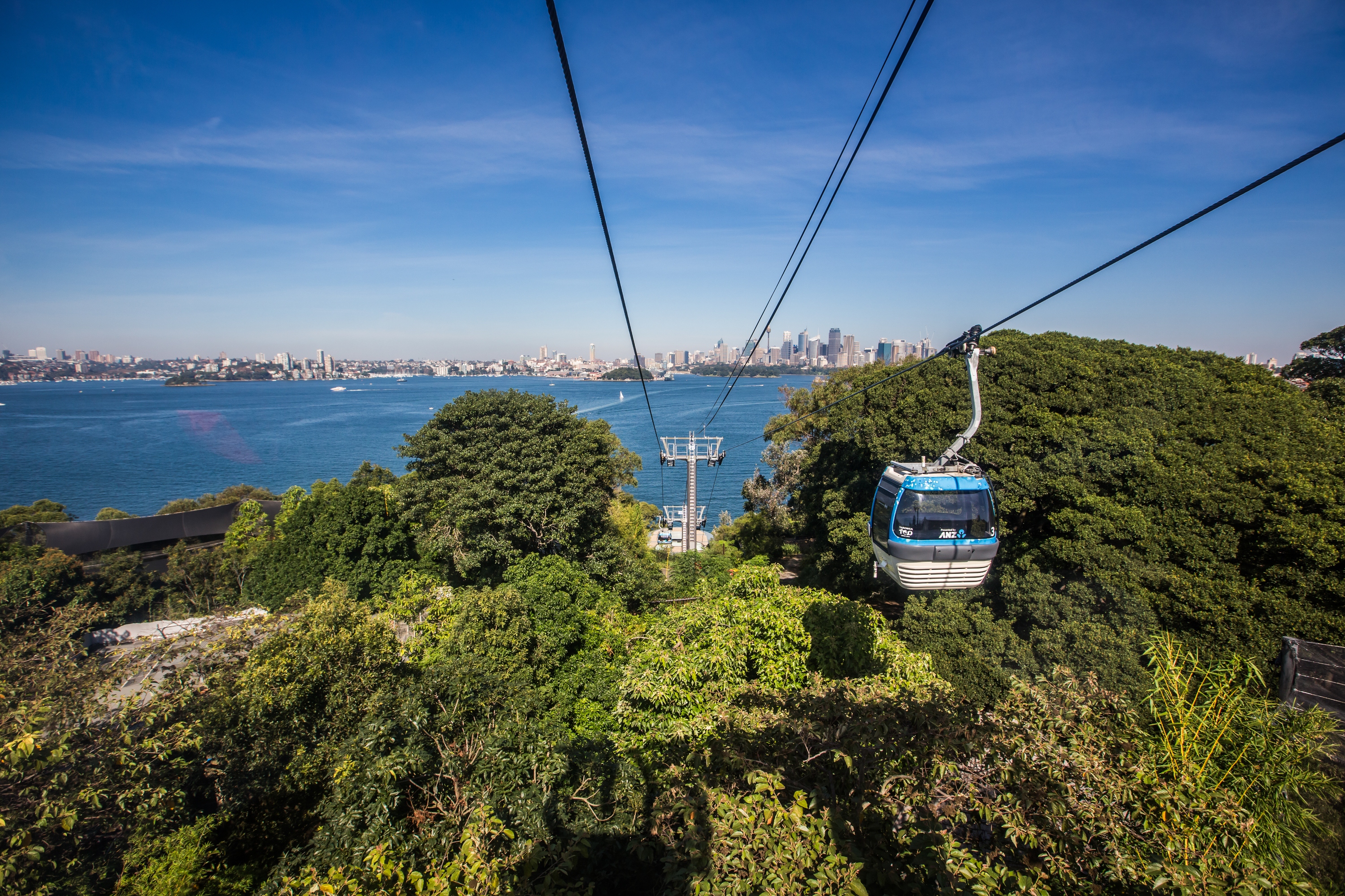 Taronga Zoo Travel Guidebook Must Visit Attractions In Sydney Taronga Zoo Nearby Recommendation Trip Com