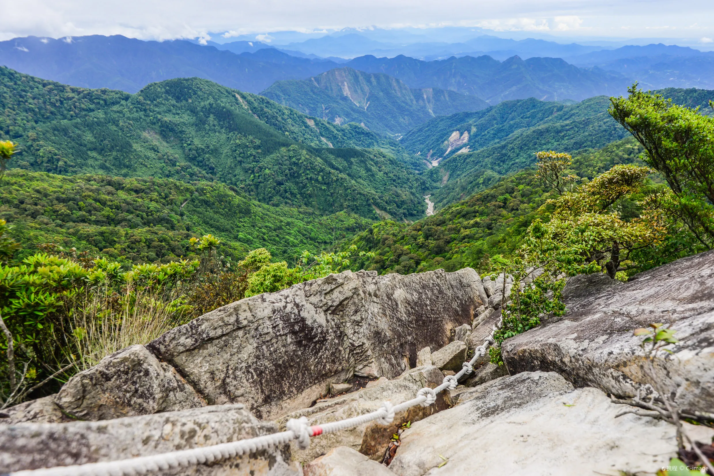大雪山森林遊樂區