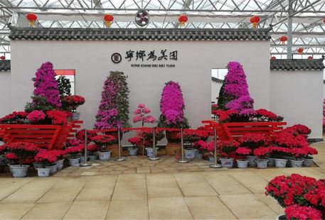 Ningxiang Weimei Garden