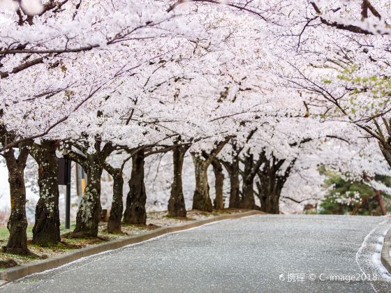 登別の写真 登別の旅行写真 Tripメモリーに投稿された素晴らしい観光スポットの写真