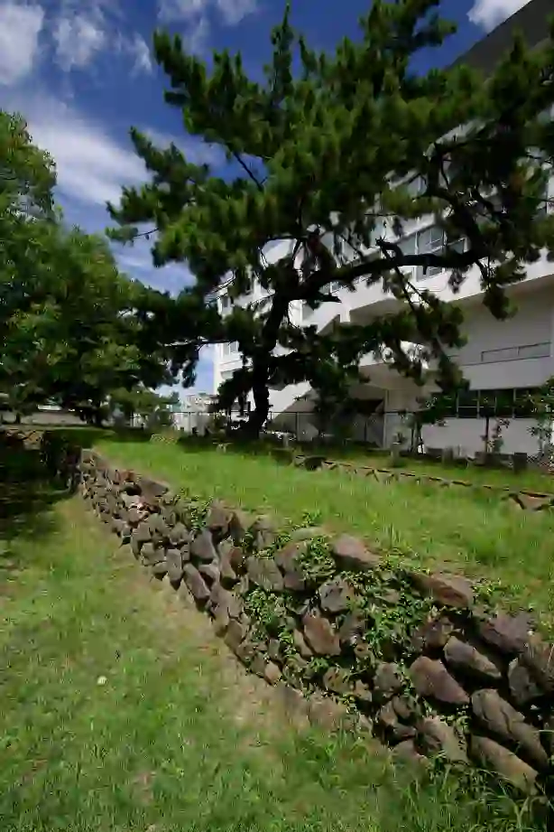 Trip.com