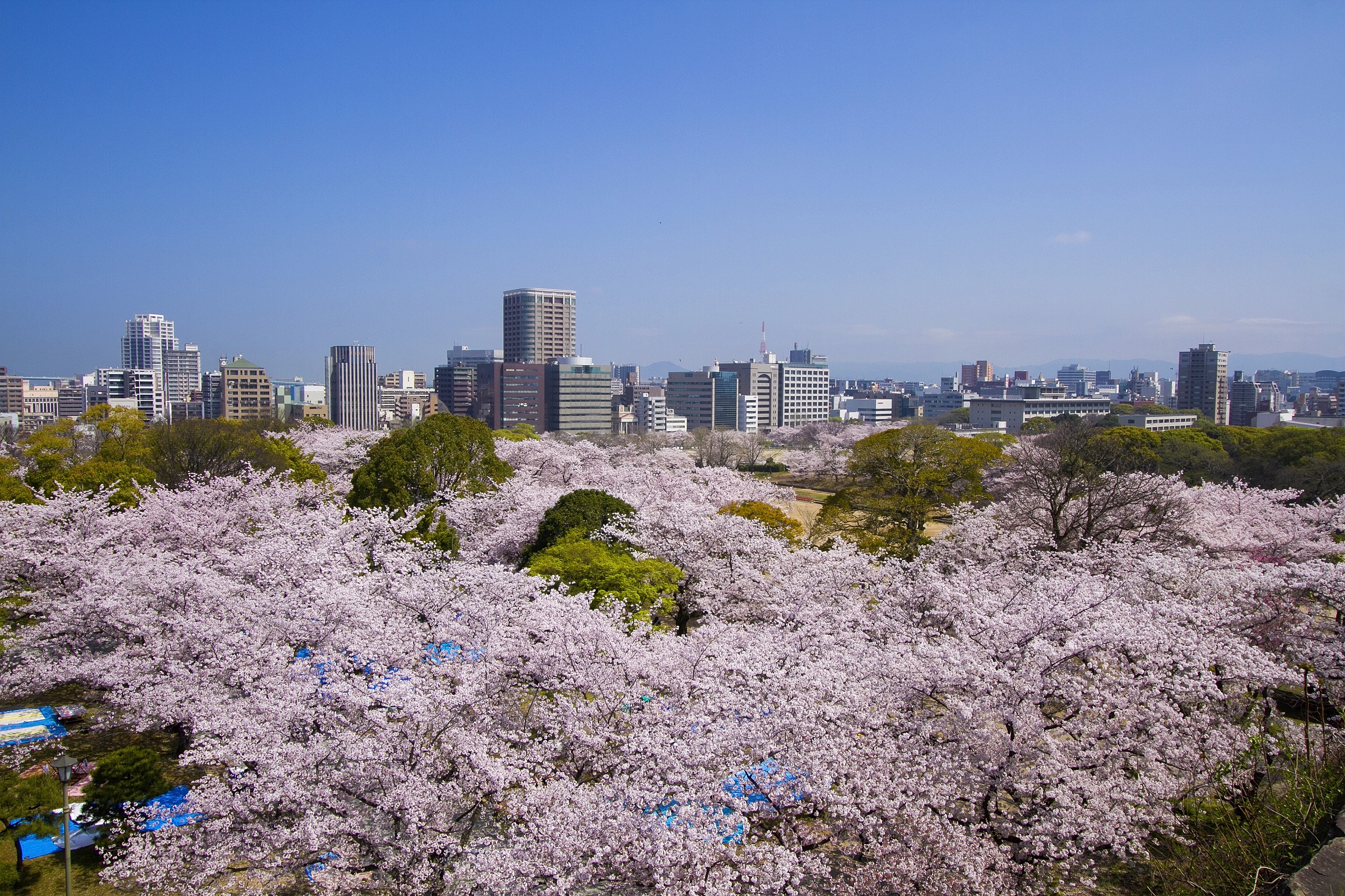 Fukuoka Castle Ruins Attraction Reviews Fukuoka Castle Ruins Tickets Fukuoka Castle Ruins Discounts Fukuoka Castle Ruins Transportation Address Opening Hours Attractions Hotels And Food Near Fukuoka Castle Ruins Trip Com