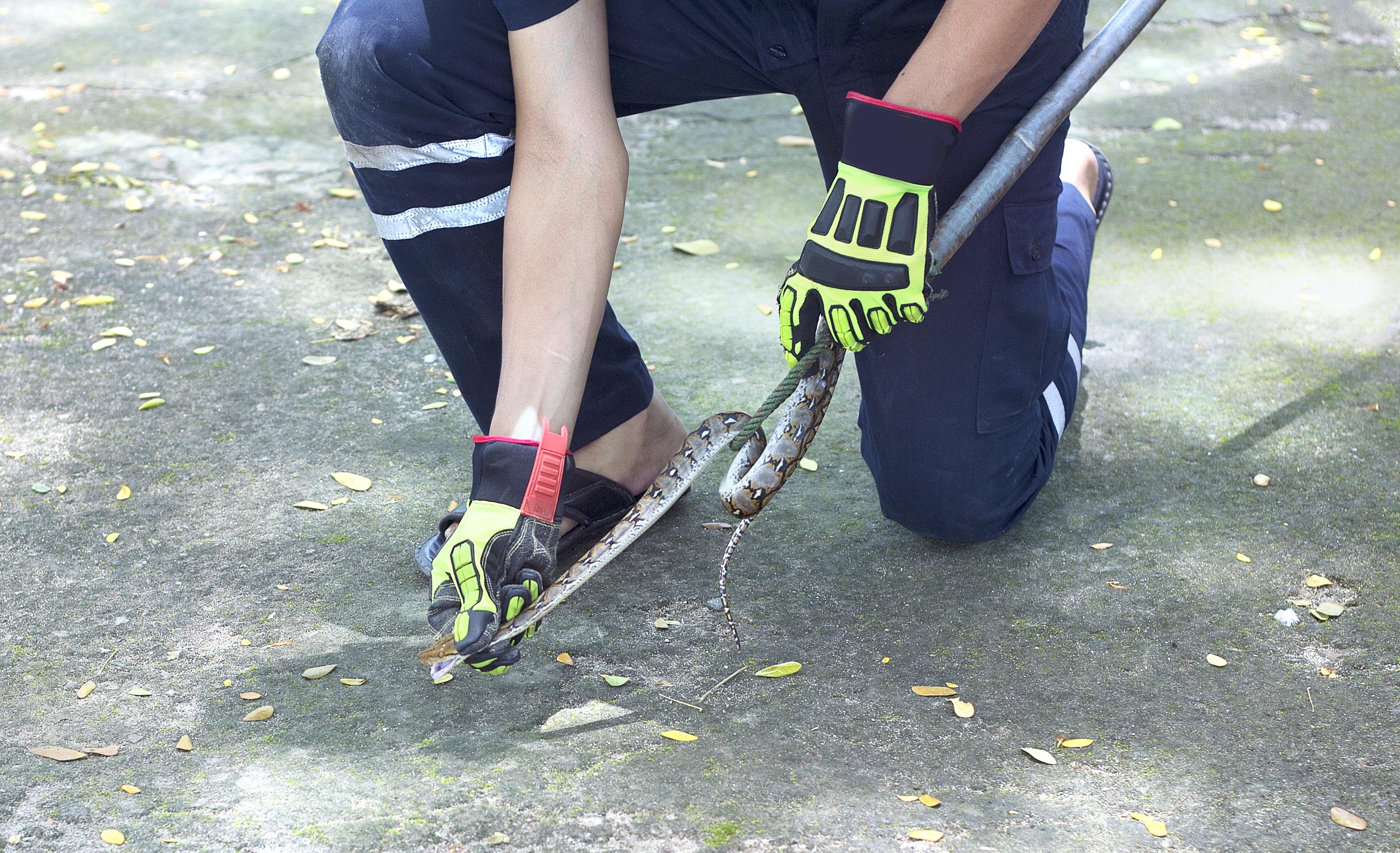 サオワパー王妃記念研究所のレビュー サオワパー王妃記念研究所のチケット サオワパー王妃記念研究所の割引 サオワパー王妃記念研究所の交通機関 所在地 営業時間 サオワパー王妃記念研究所周辺の観光スポット ホテル グルメ Trip Com