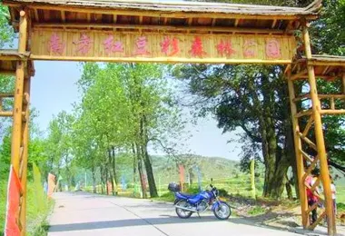 Nanfang Hongdoushan Forest Park รูปภาพAttractionsยอดนิยม