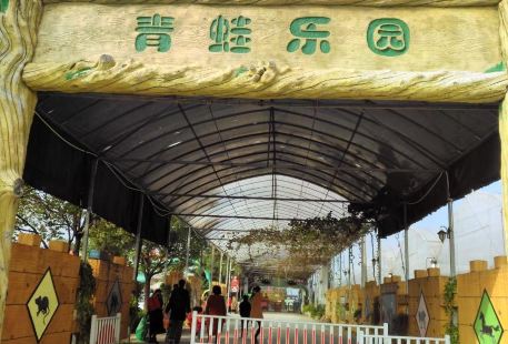 Shang Hetangzhaichun Nongchang Qingwa Amusement Park