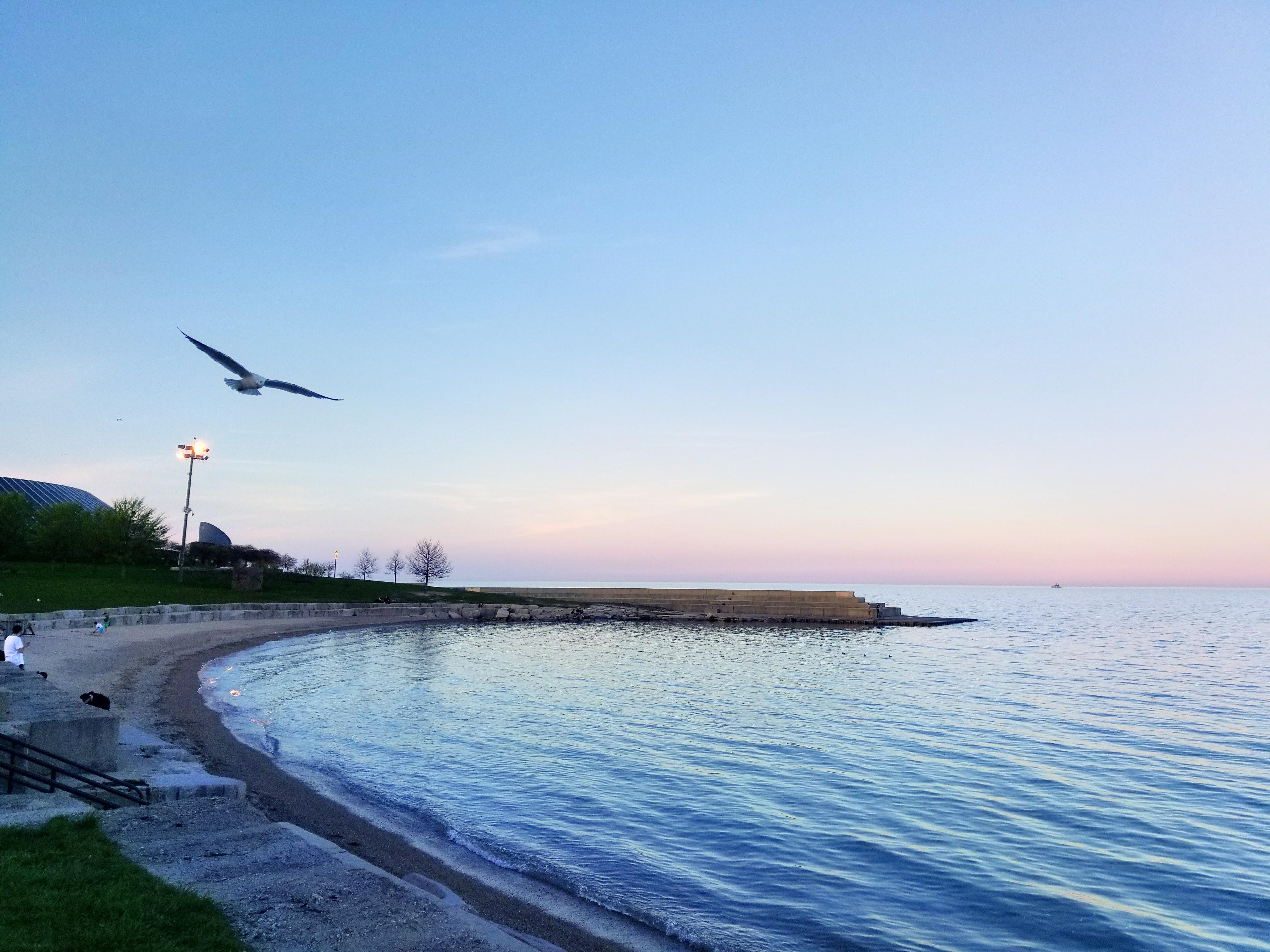 12th Street Beach to 63rd Street Beach