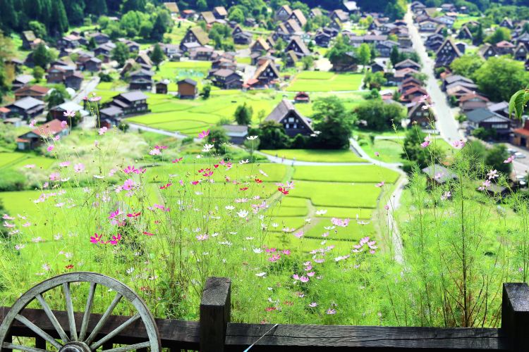 白川村 荻町城跡展望台 評判 案内 トリップドットコム