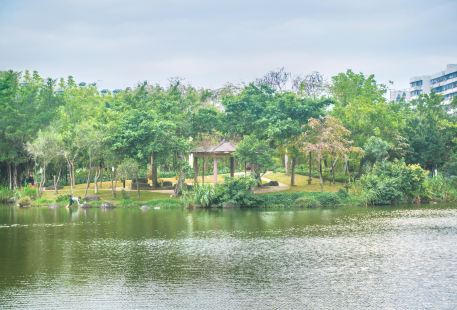 Xiahu Park