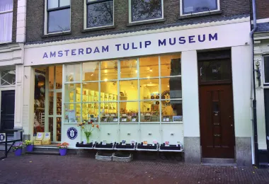 Amsterdam Tulip Museum รูปภาพAttractionsยอดนิยม