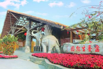 Gaoming Yingxiang Ecological Park Popular Attractions Photos