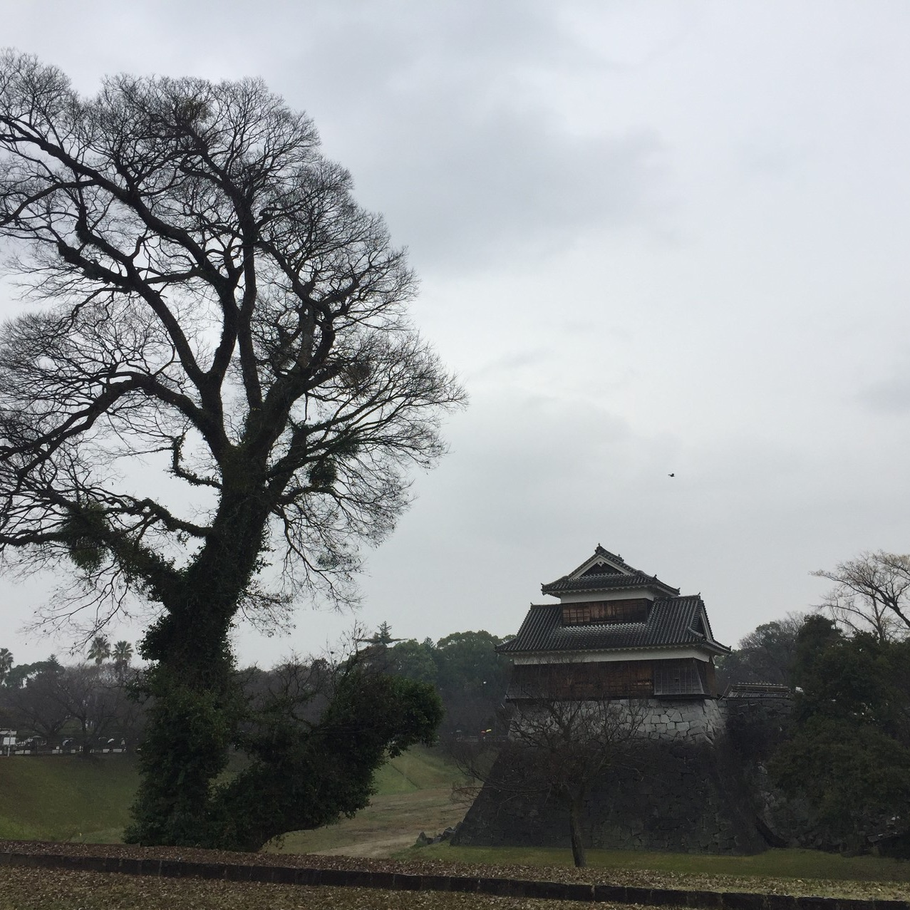 21熊本旅遊攻略 熊本好去處 熊本觀光景點21 Trip Com