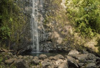 Manoa Falls Popular Attractions Photos