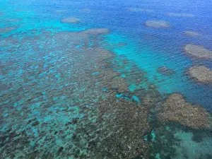 摩爾外堡礁