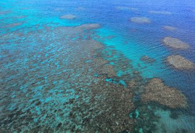 Moore Outer Reef Popular Attractions Photos