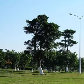 Hongshan People's Park (Southwest Gate)