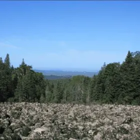 Fangzheng Primeval Forest Reserve