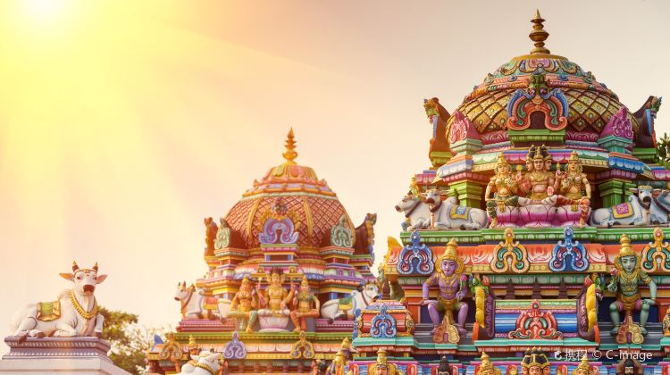 Kapaleeshwarar Temple: guida - Posti da visitare a - Da vedere in zona Kapaleeshwarar Temple - Trip.com