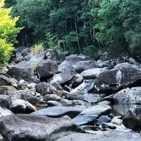 Luofushan Drift