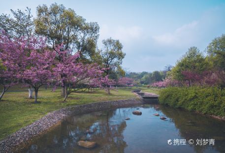 Longbeishan Forest Park