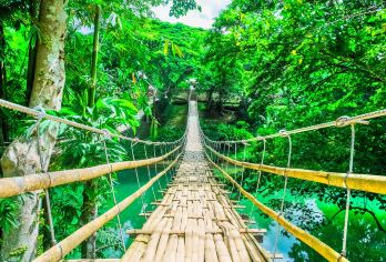 Bamboo Hanging Bridge Popular Attractions Photos